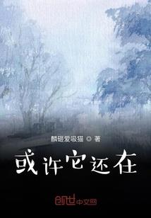 神圣十字军