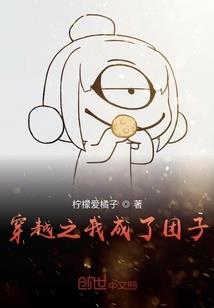 整蛊大盗王妃