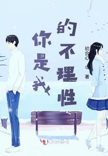 卷舒丛文