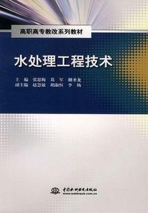 小包子的丑娘亲