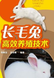 云染仙颜成仙诀