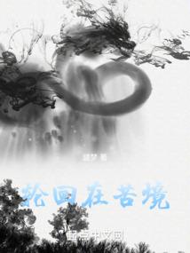 飞羽如墨