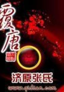 多金总裁小后妈