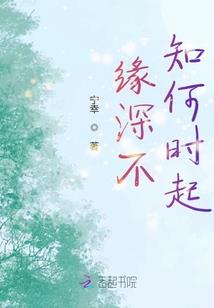 重生之凤唳天下