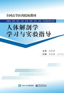 恶魔少爷的小女仆喜欢你