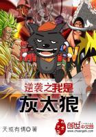 云洛之传