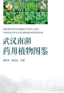 苍穹斗神之鸿蒙圣尊
