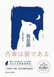 TFBous盛夏的爱恋