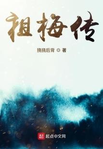 职业冒险家