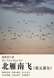 明悟之路