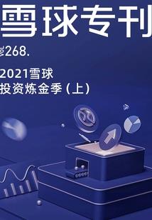 怎盗倾城