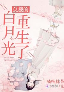 盛世荣宠——霸上女相
