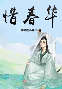重生之圣火神妃