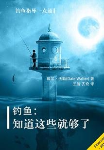 盗将纵横