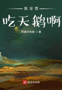 重生奶爸导盲犬