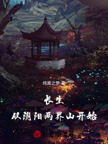 穿越之极品书童