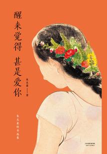 北漂之灰姑娘