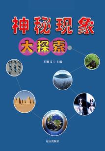 高冷女神的超级保镖