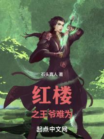 闪来的老公