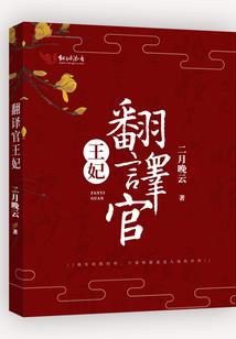 幻银骑士