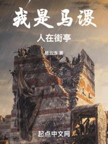 首席高参