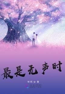 星链大陆