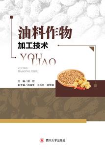 学园都市之裁决之光