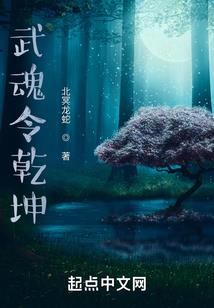 月夜纷争