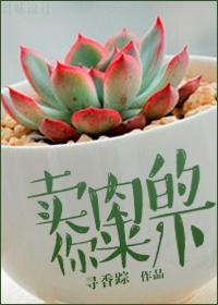 仙凡浮生录