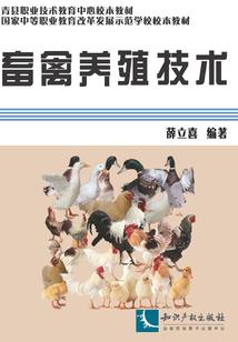 穿越那天我被造谣是舔狗