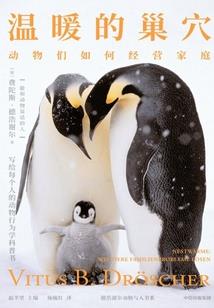 殿下的专宠小魔王