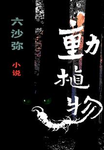 灵幻兄长