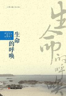 庶女升迁记