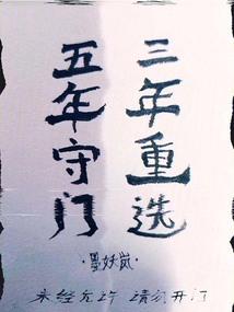 如花姑娘追夫记