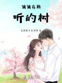 长虹志