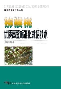 大千唯我独尊