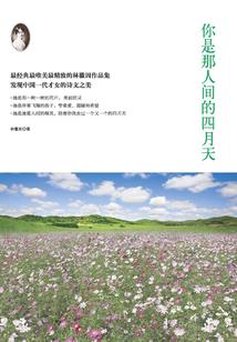 九天之一路巅峰