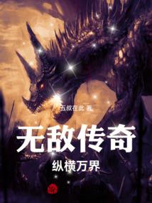海贼之我心中的正义