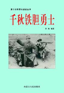 假面骑士之巅峰英雄