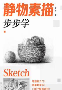 穿越我的世界之我叫史蒂夫