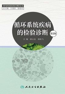 元芳非助手