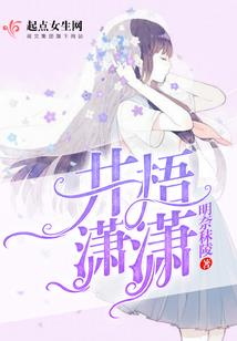 星空独尊