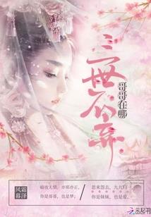 傻王俏妃（全本）