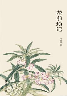 四叶草精灵