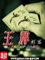 腹黑王爷的神偷妃
