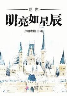 废墟中的守护