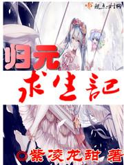 海贼王之拳术冠军