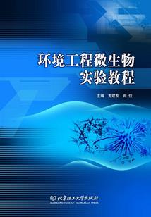 夏花最美时