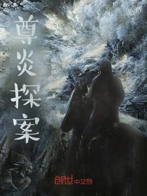 孤独的影