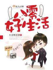 大混沌系统